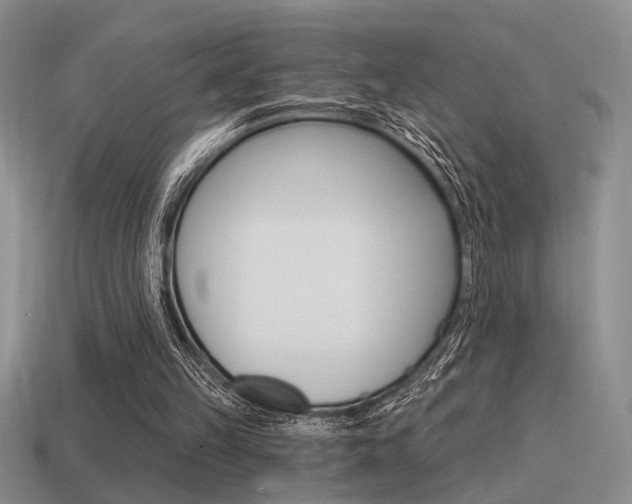 X0000115550149200911061134