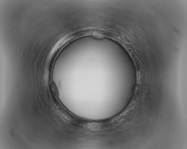 X0000115550150200911061134