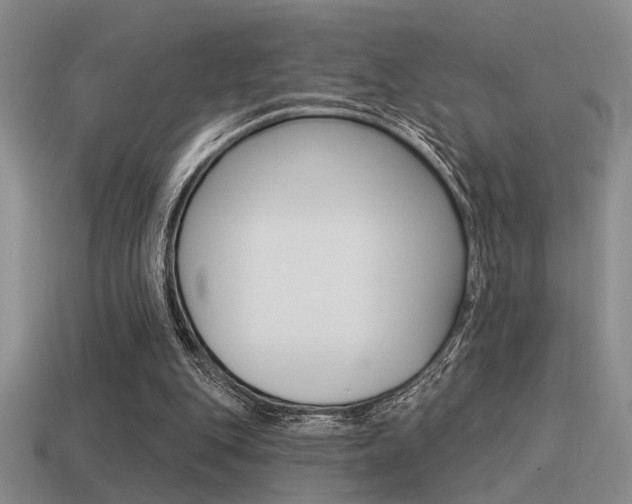 X0000115550151200911061134