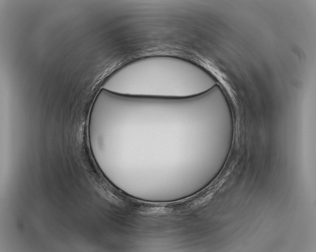X0000115550153200911061134
