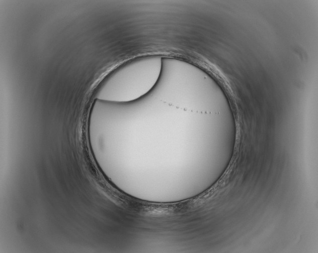 X0000115550155200911061134