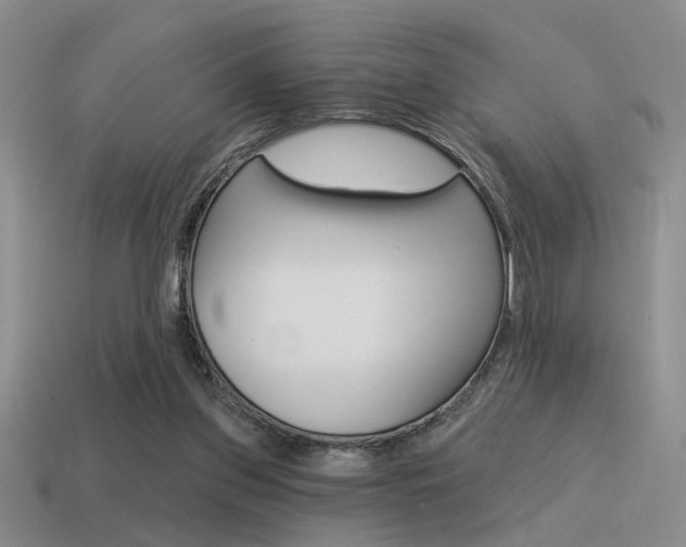X0000115550157200911061134