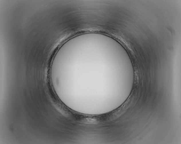 X0000115550159200911061134