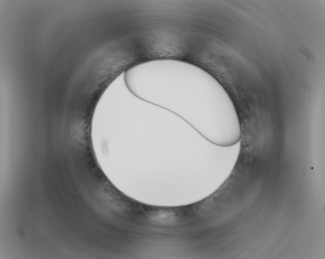X0000115550162200911061134