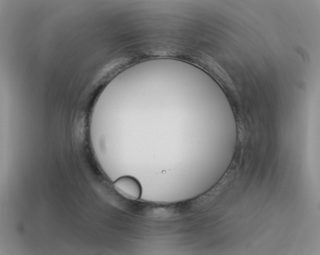 X0000115550163200911061134