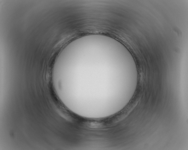 X0000115550165200911061134