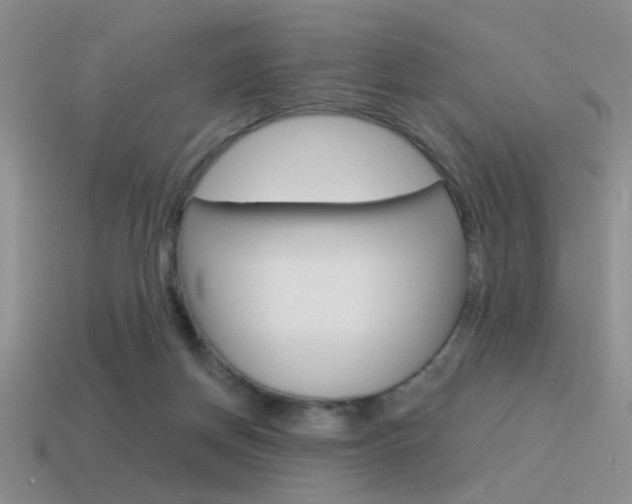 X0000115550166200911061134