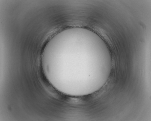X0000115550167200911061134