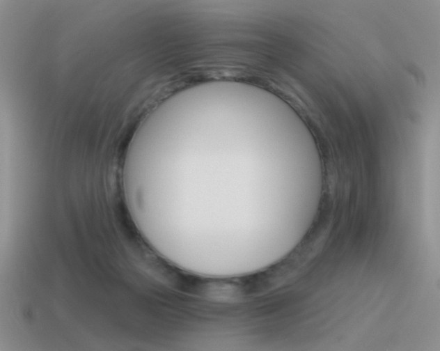 X0000115550169200911061134