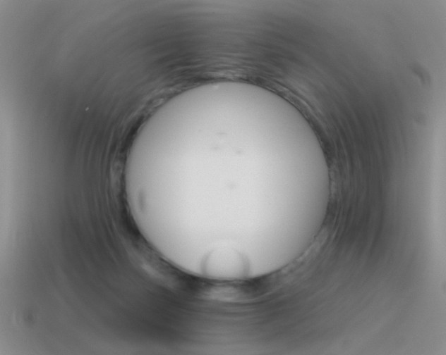 X0000115550171200911061134
