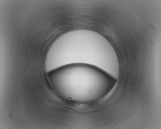 X0000115550174200911061134