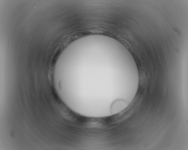 X0000115550175200911061134