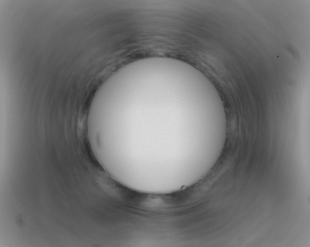 X0000115550177200911061134