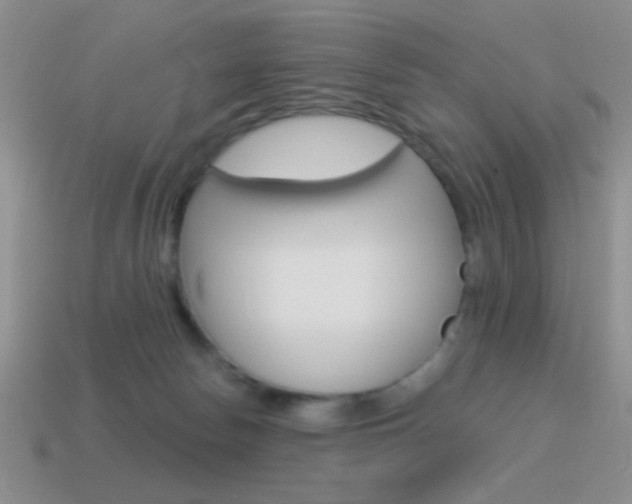 X0000115550178200911061134