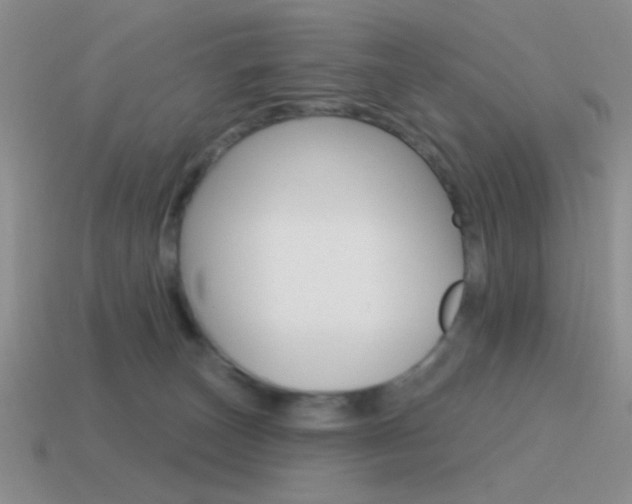 X0000115550179200911061134