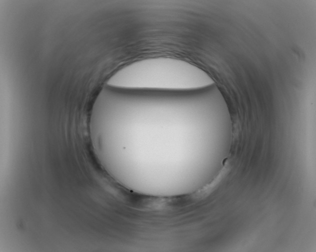 X0000115550182200911061134