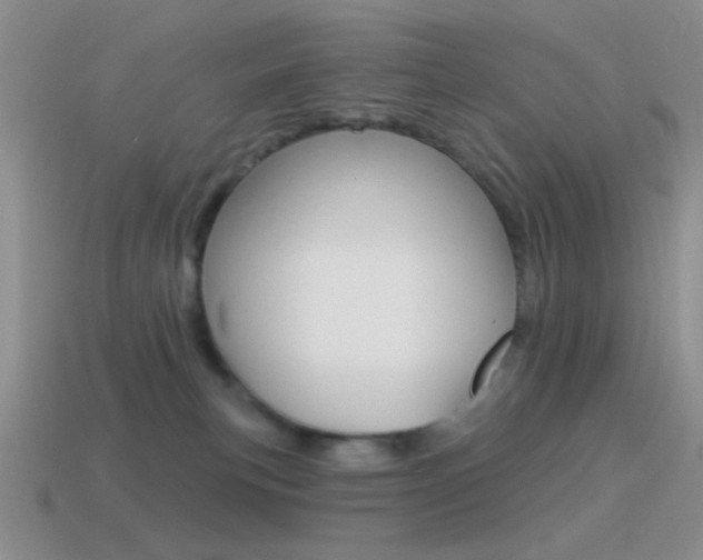 X0000115550183200911061134