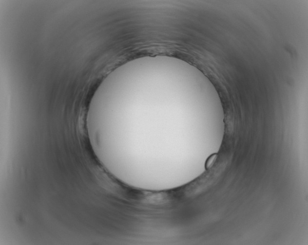 X0000115550185200911061134