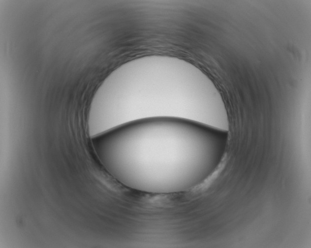 X0000115550186200911061134