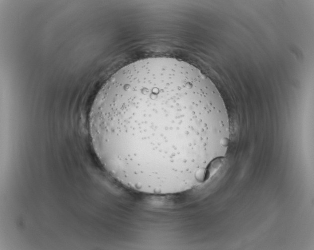 X0000115550187200911061134