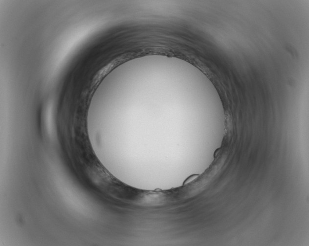 X0000115550189200911061134