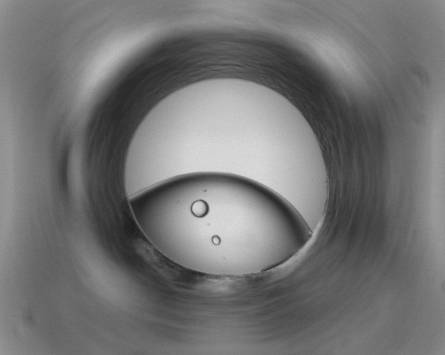 X0000115550190200911061134