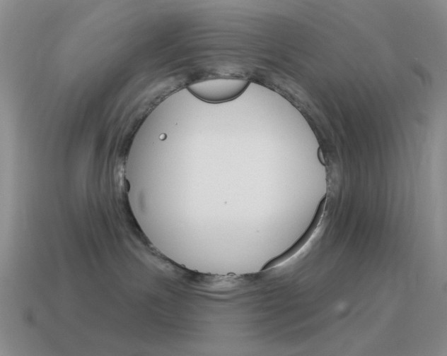 X0000115550191200911061134
