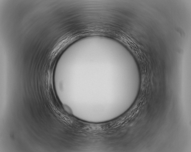 X0000115550194200911061134