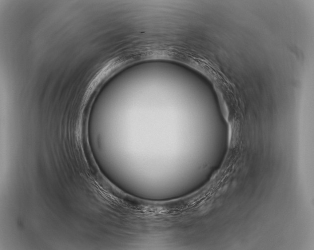 X0000115550195200911061134