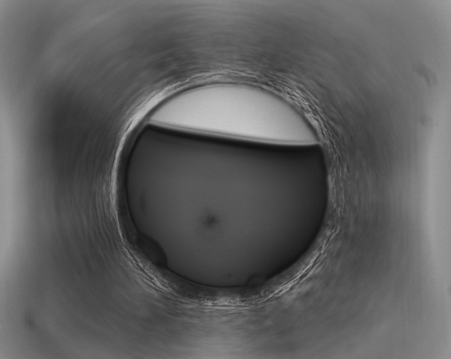 X0000115550196200911061134