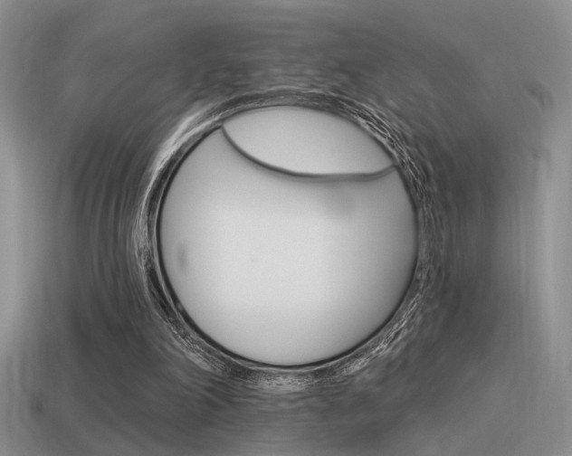 X0000115550198200911061134