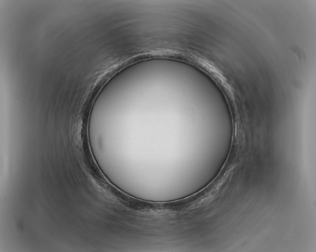 X0000115550201200911061133