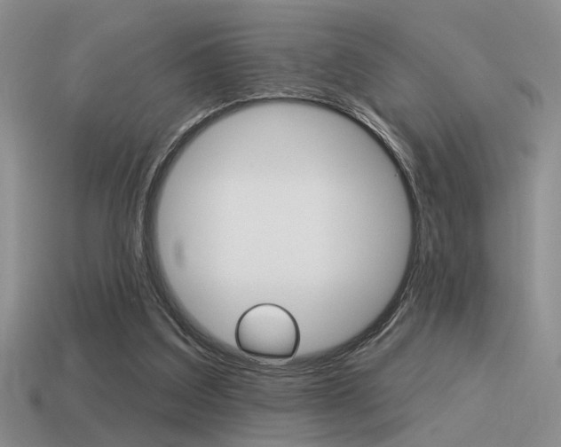 X0000115550203200911061133