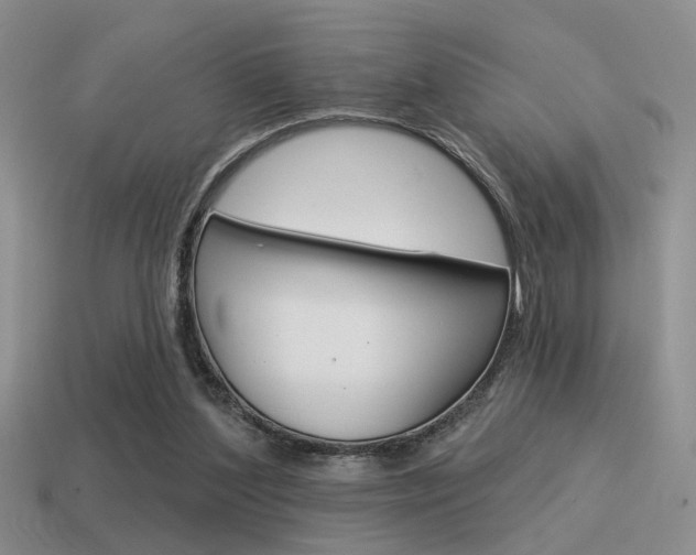 X0000115550204200911061133