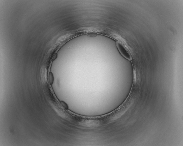 X0000115550205200911061133