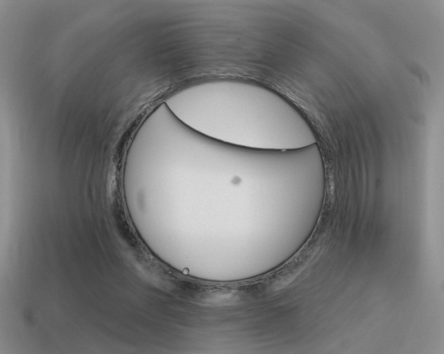 X0000115550206200911061133
