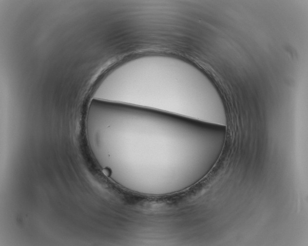 X0000115550208200911061133