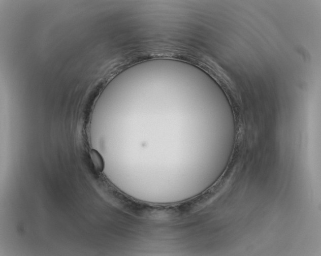 X0000115550209200911061133
