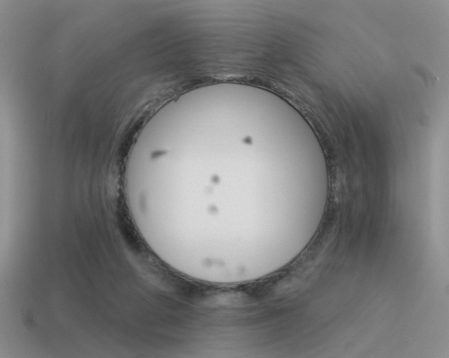 X0000115550210200911061133