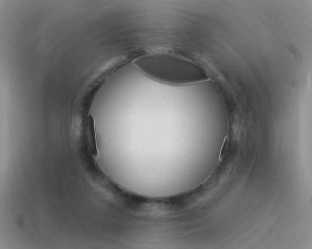 X0000115550211200911061133