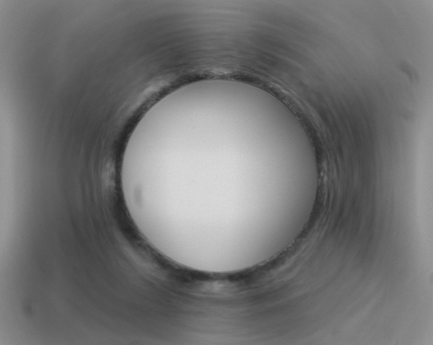 X0000115550212200911061133