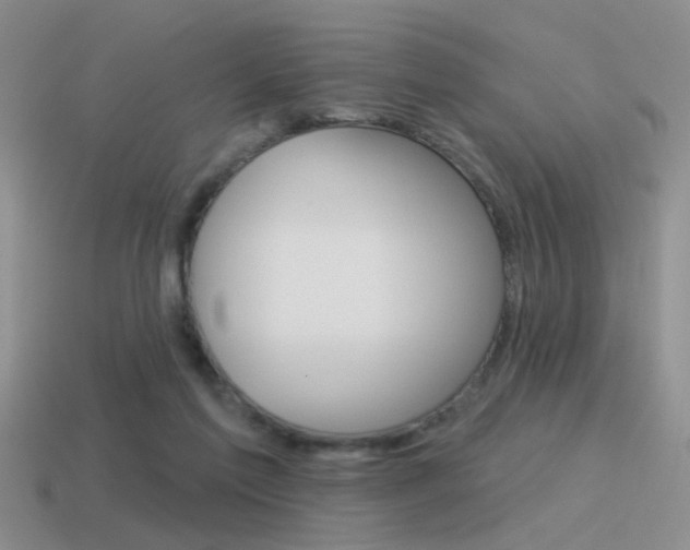 X0000115550213200911061133