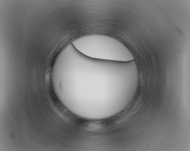 X0000115550214200911061133