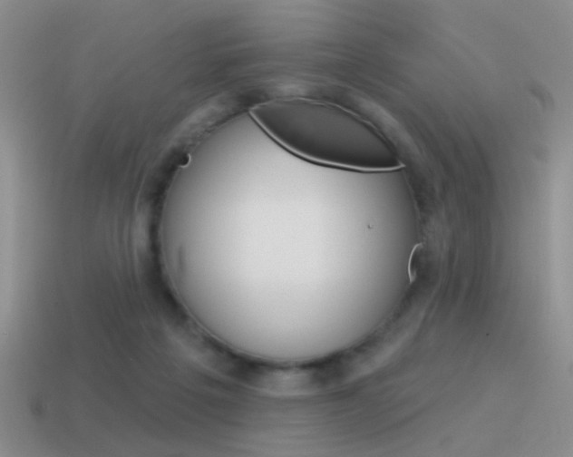 X0000115550217200911061133