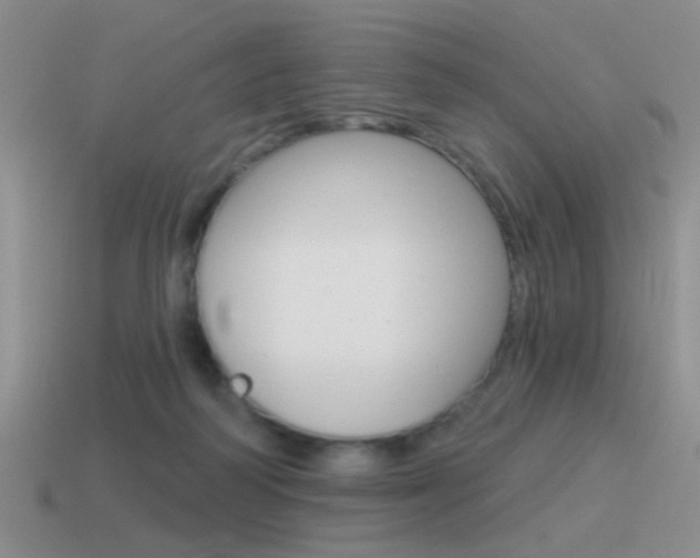 X0000115550218200911061133
