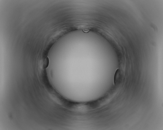 X0000115550219200911061133