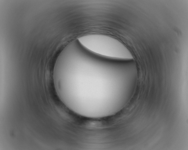 X0000115550220200911061133