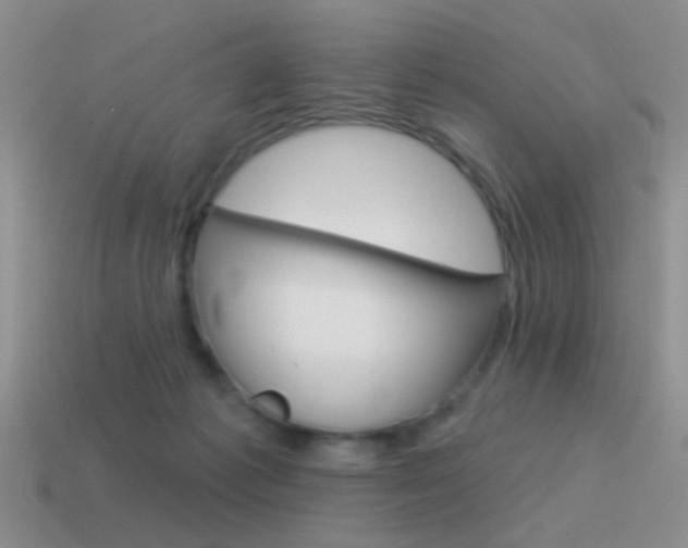 X0000115550221200911061133