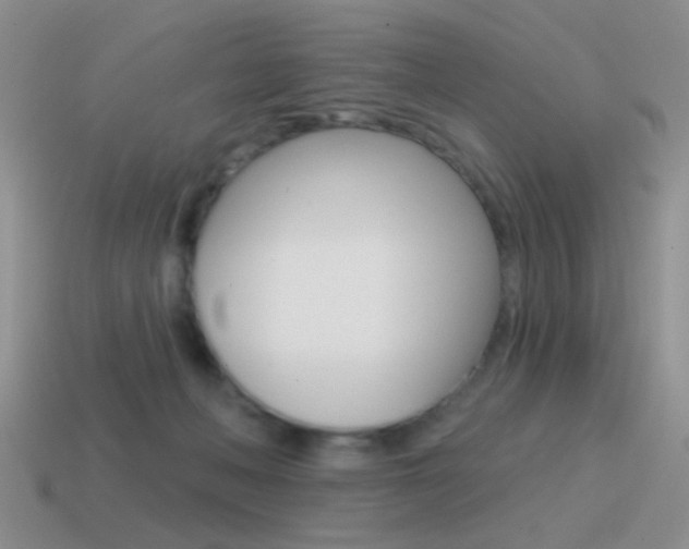 X0000115550222200911061133