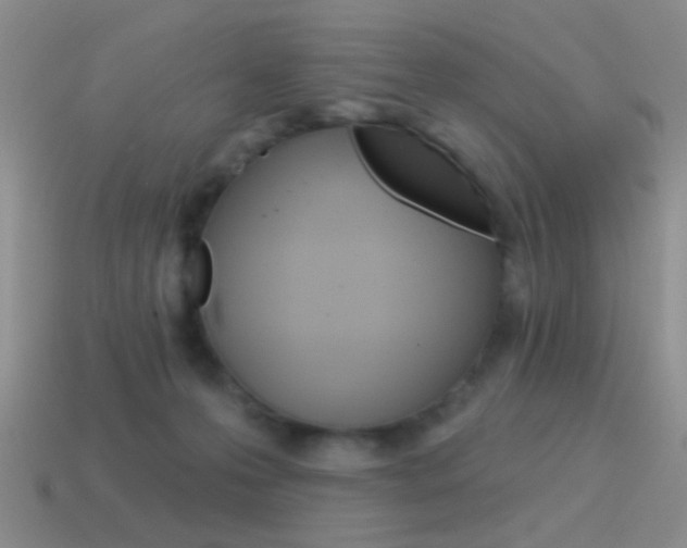 X0000115550223200911061133